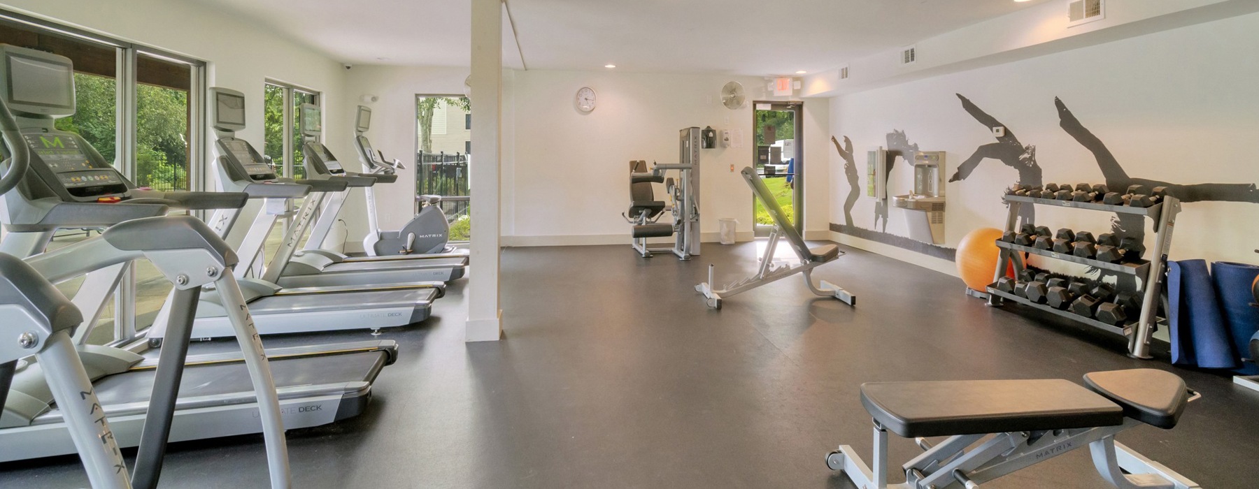 Fitness center with free weights, treadmills and ellipticals